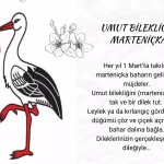 2 (Copy)